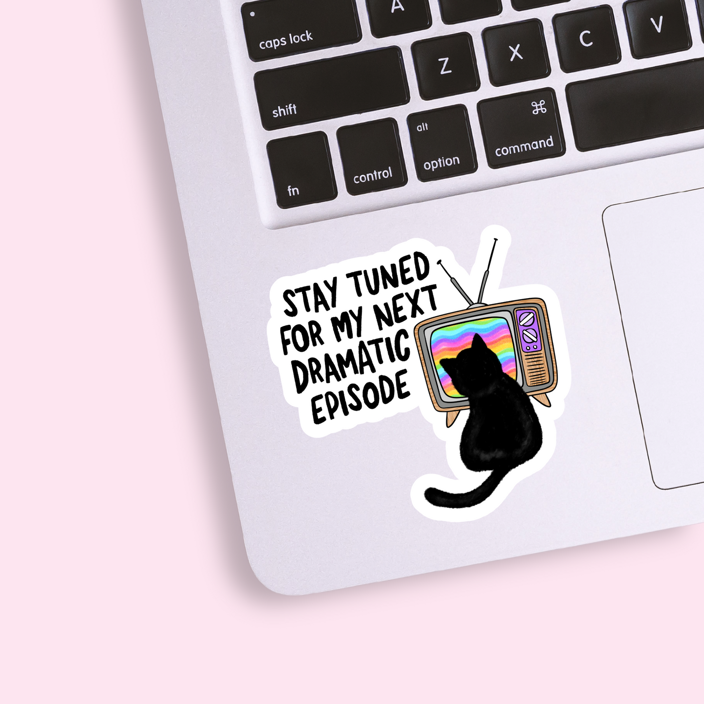 Stay Tuned Cat Sticker